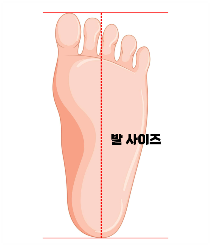 중국 신발 사이즈표 총정리