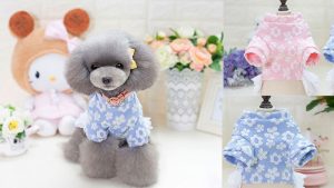 애견 용품 도매 사이트