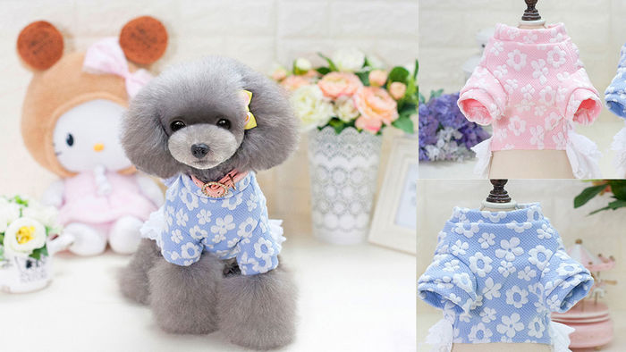 애견 용품 도매 사이트